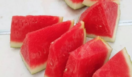 51大赛今日吃瓜必吃,今日吃瓜必看精彩瞬间